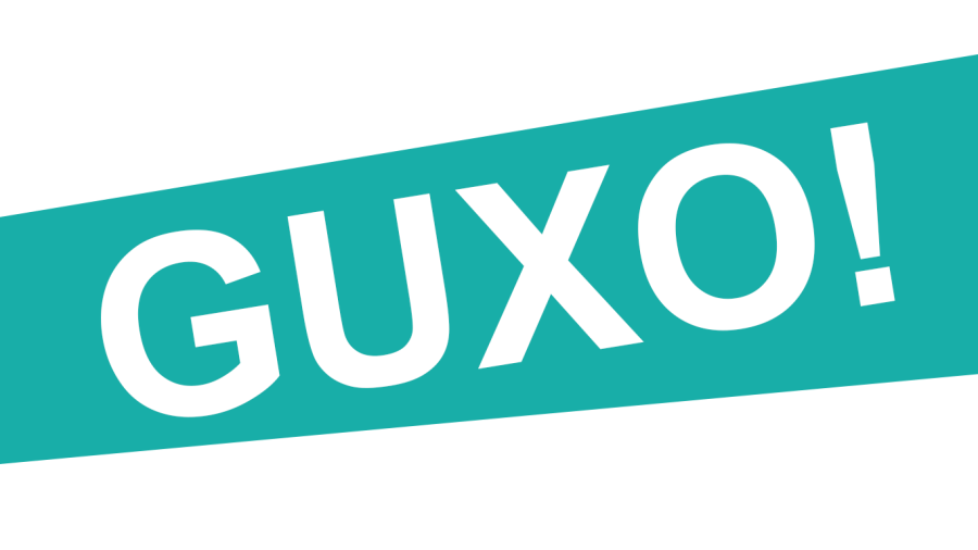 Deklaratë e Partisë Guxo